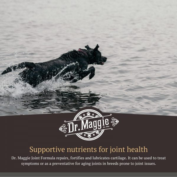 Dr. Maggie Joint Formula For Dogs and Cats
