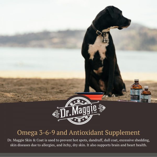 Dr. Maggie Skin & Coat For Dogs and Cats