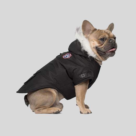 Canada Pooch Winter Wilderness Parka Black