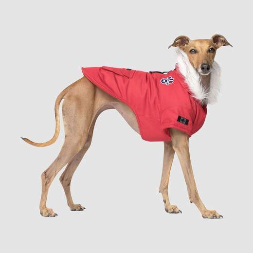 Canada Pooch Winter Wilderness Parka Red