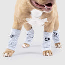 Canada Pooch Work It Knit Leg Warmers
