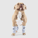 Canada Pooch Work It Knit Leg Warmers