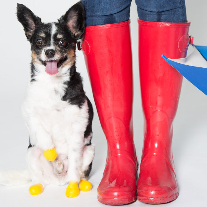 PawZ Reusable Boots XXS Yellow