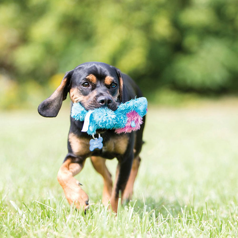 Kong Cozie Ali Alligator Dog Toy