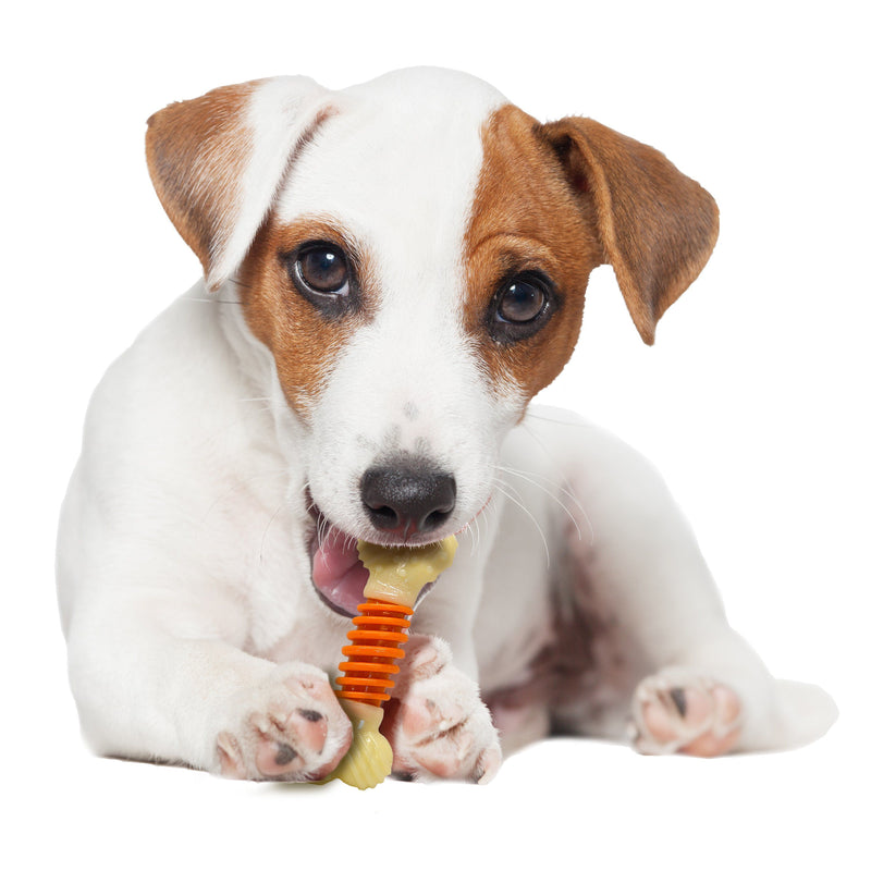 Nylabone Dental Pro Action Dog Toy