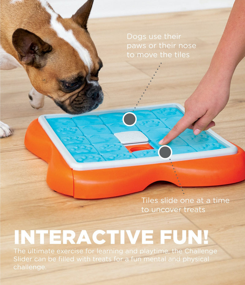 Outward Hound Challenge Slider Interactive Treat Puzzle Dog Toy