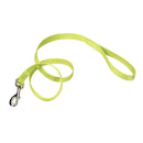 Coastal Dog Leash Lime