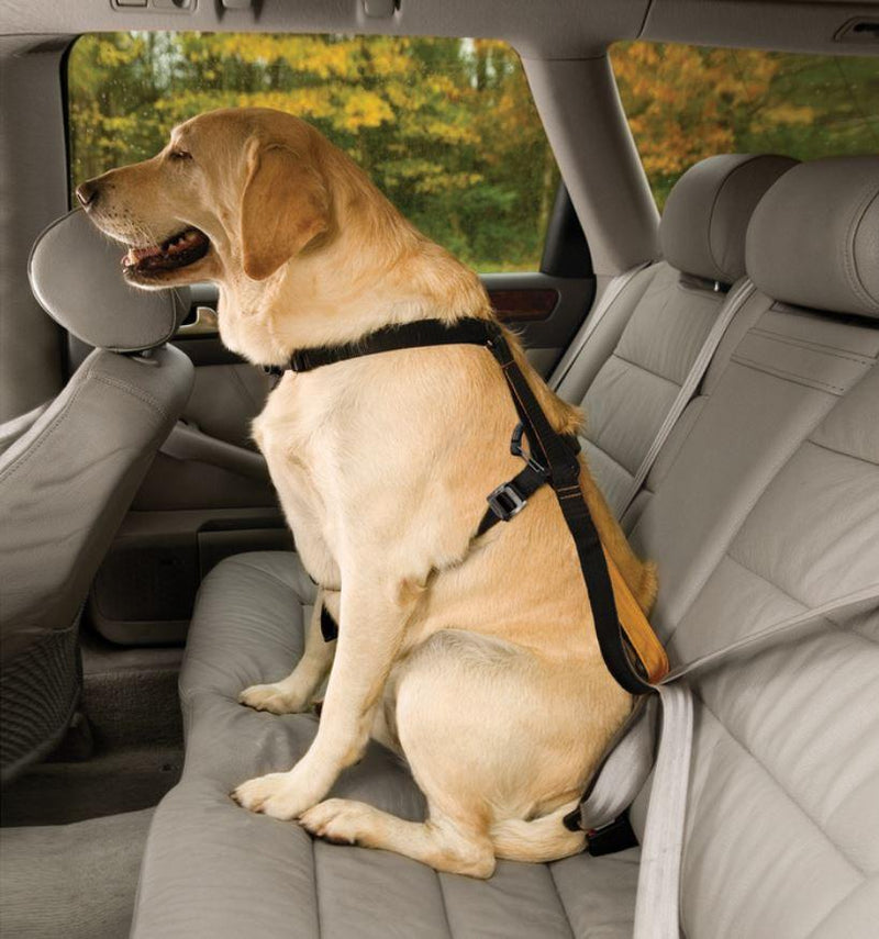 Tru fit smart harness kurgo top