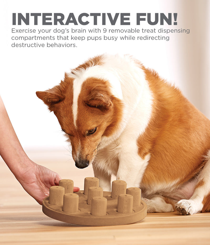 Outward Hound Dog Smart Composite Interactive Treat Puzzle Dog Toy