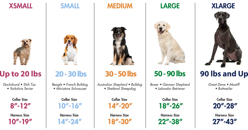 K9 Explorer Reflective Adjustable Dog Collar Campfire Orange