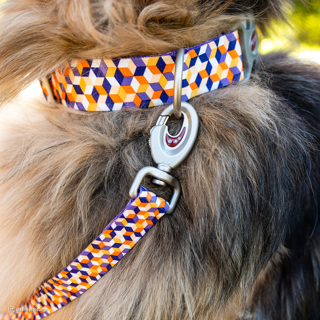 Sublime Dog Leash Purple Orange Cubes