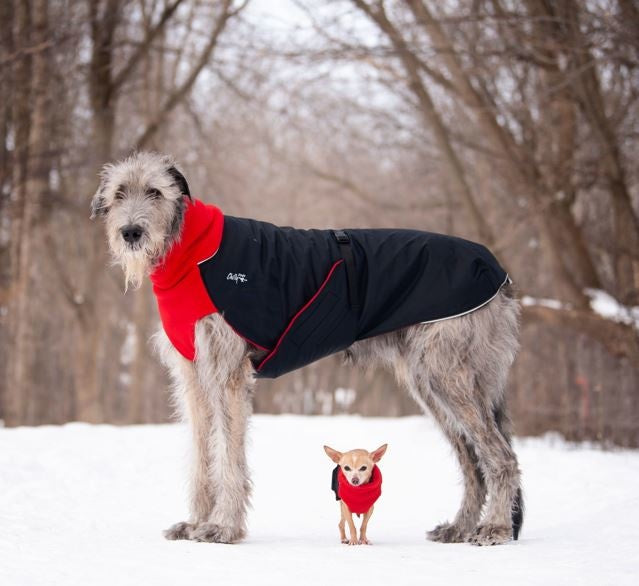 Chilly Dogs - Great White North Winter Coat Red/Black Shell