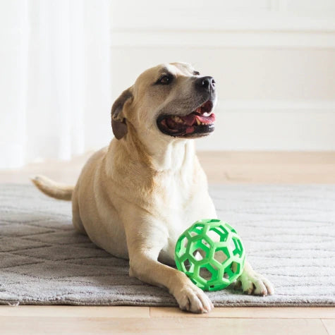 Hol-ee Roller Dog Toys