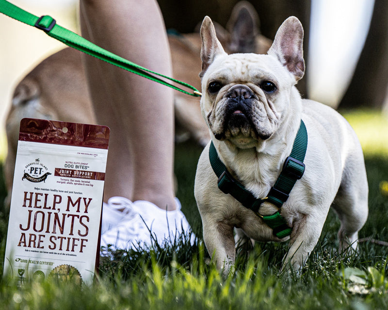 Help, My Joints are Stiff! Joint Support Supplement Dog Biscuits