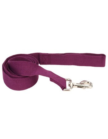 New Earth Soy Dog Leash Eggplant