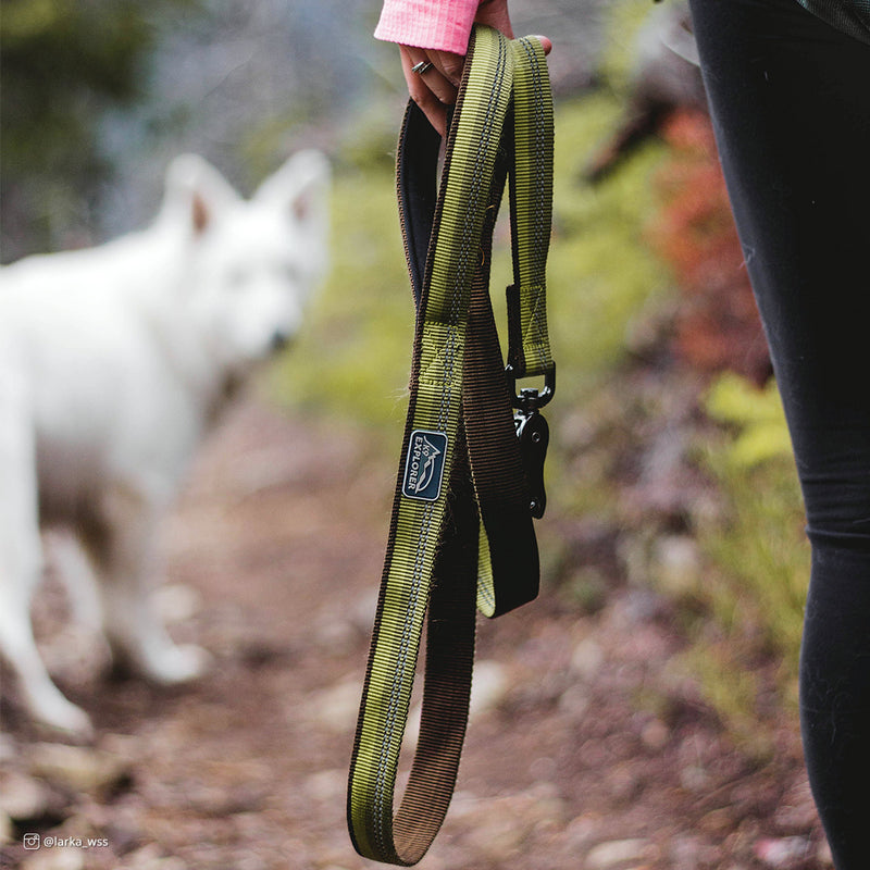 K9 Explorer Reflective Dog Leash with Scissor Snap Rosebud