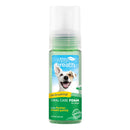 Tropiclean Fresh Breath Oral Care Foam