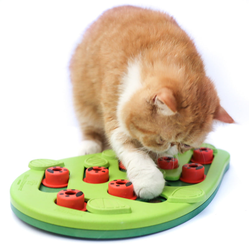 Outward Hound Buggin' Out Puzzle & Play Cat Game