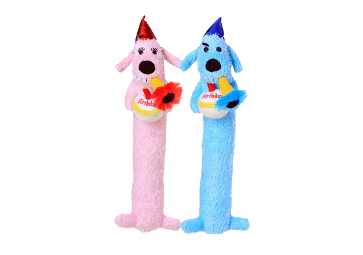 Squeaky Birthday Dog Toy