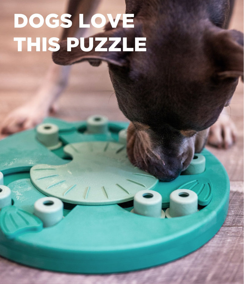 Outward Hound Dog Worker Interactive Treat Puzzle Dog Toy
