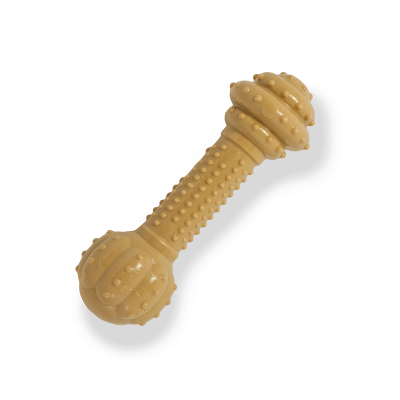 Nylabone Extreme Barbell  Dog Toy