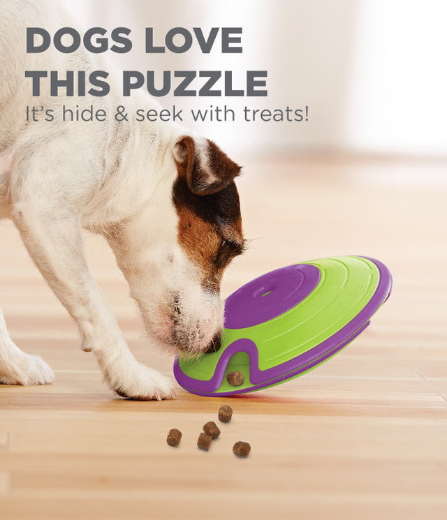 Outward Hound Treat Maze Interactive Puzzle Dog Toy