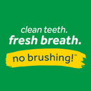 Tropiclean Fresh Breath Oral Care Foam