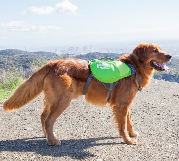 Outward Hound Quick Release Backpack