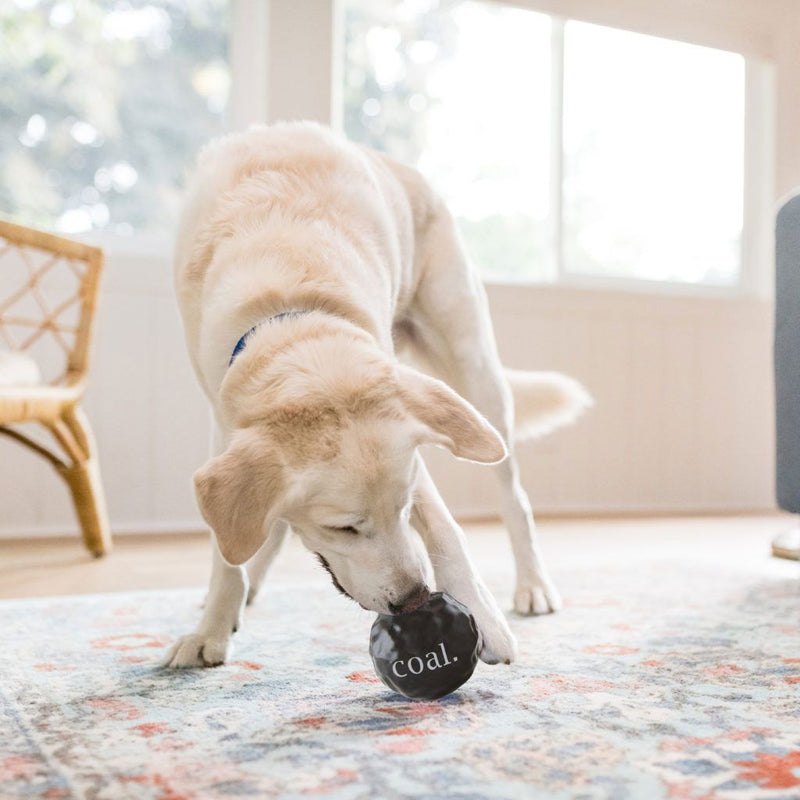 Celebrate Festive Fetch Coal Dog Toy