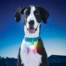 Nite Ize SpotLit Rechargeable Collar Light XL