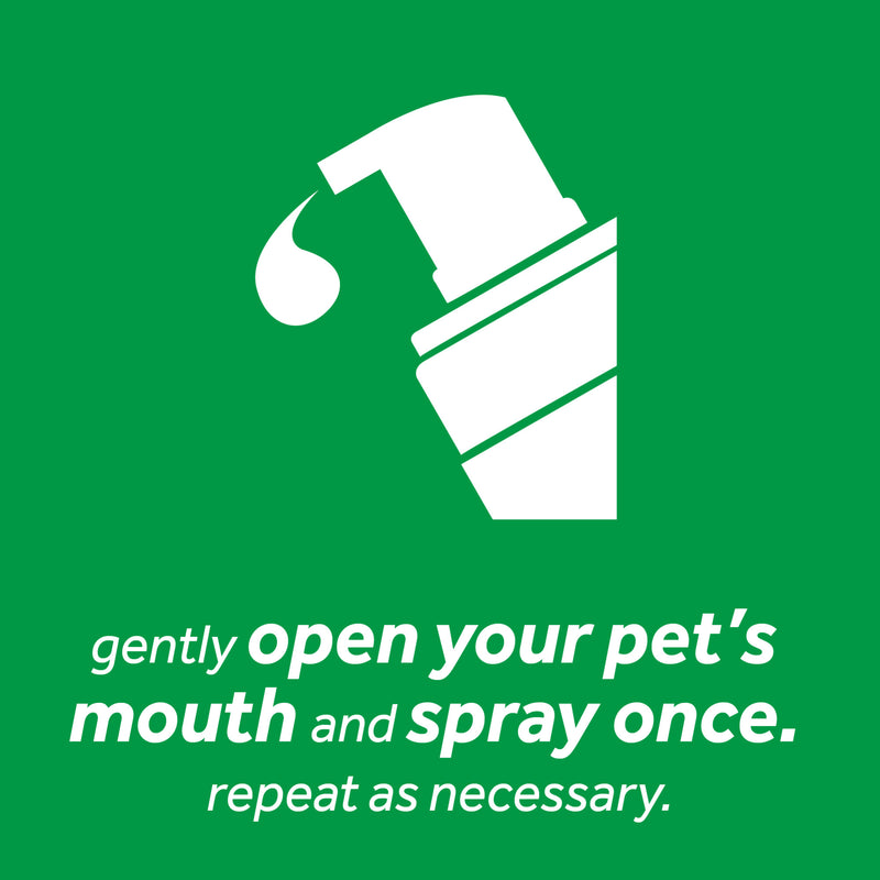 Tropiclean Fresh Breath Oral Care Foam
