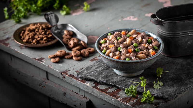 Fromm Lamb, Vegetable and Rice Stew Dog Food