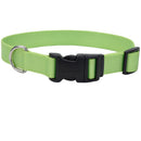 Coastal Adjustable Dog Collar Lime