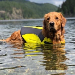 Canada Pooch Wave Rider Life Vest
