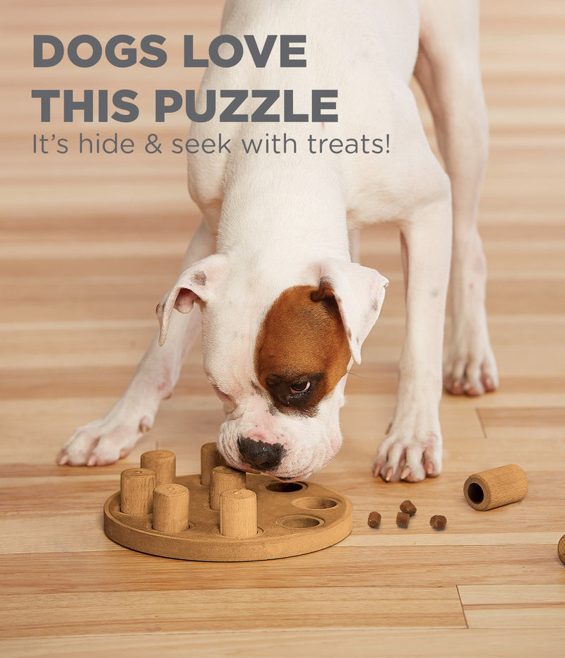 Outward Hound Dog Smart Composite Interactive Treat Puzzle Dog Toy
