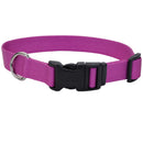 Coastal Adjustable Dog Collar Orchid