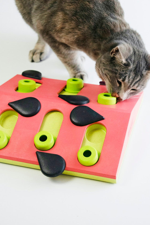 Outward Hound Melon Madness Puzzle and Play Cat Game